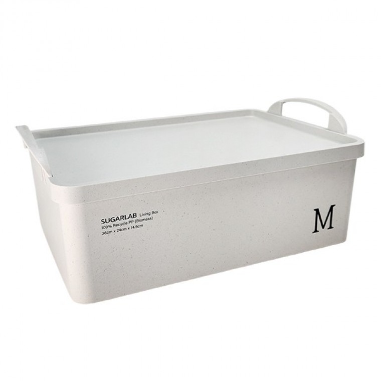 กล่องเก็บของ Magic Clean Sugar Lab Living Box M
