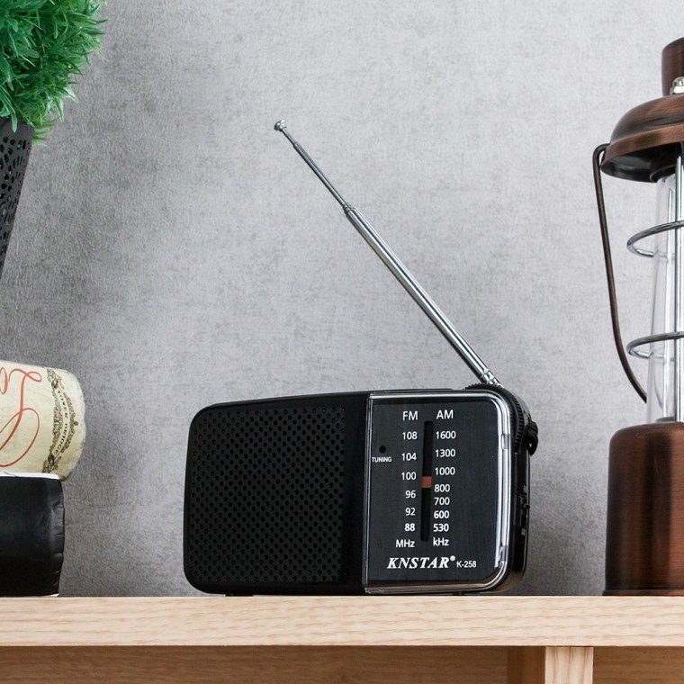 วิทยุ AM/FM อะนาล็อกแนวนอน / สินค้าเข้าใหม่