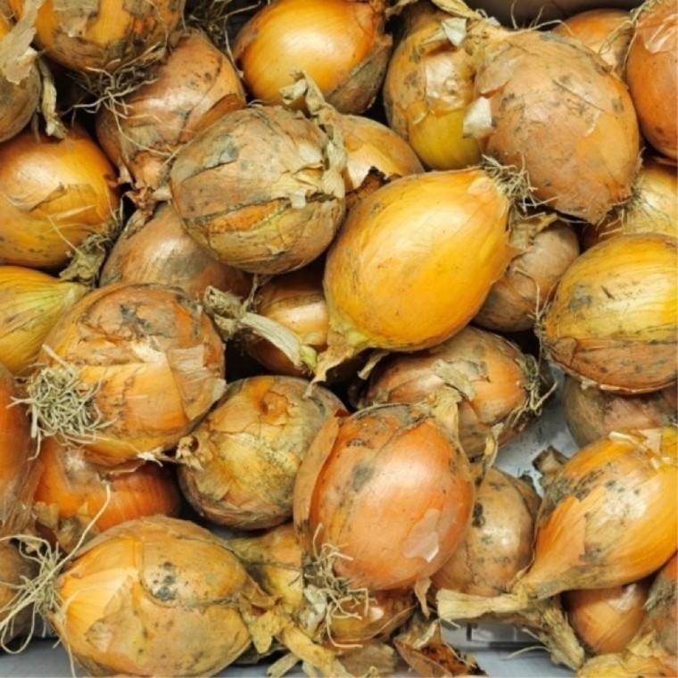หอมหัวใหญ่เกาหลีใหม่ 3kg ขนาดเล็ก