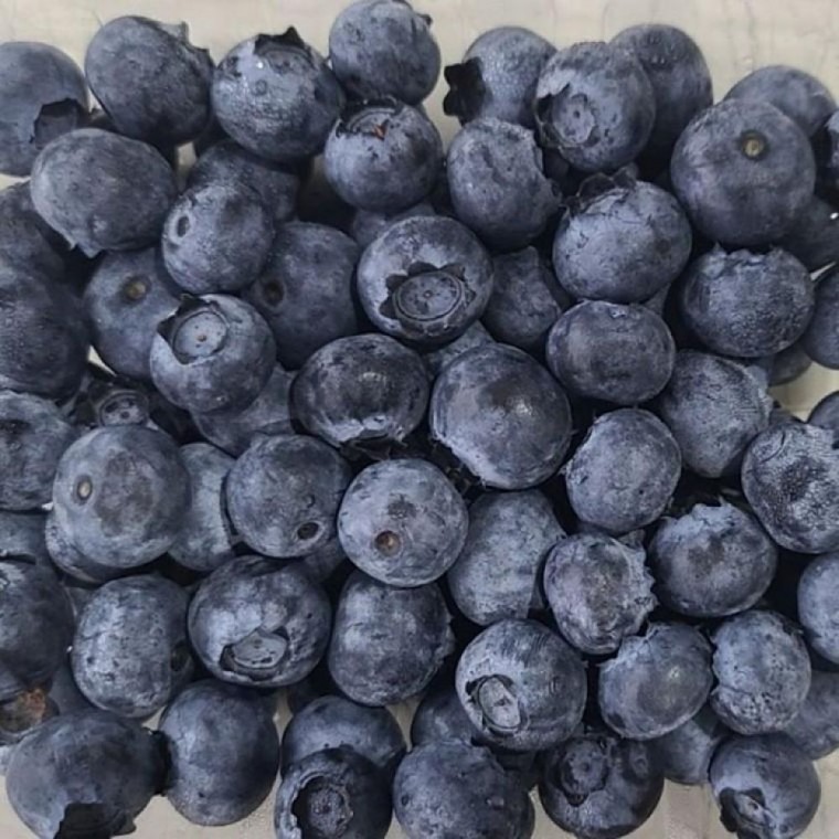 บลูเบอร์รี่สดเกาหลี ขนาดใหญ่ 100g 10 แพ็ค ผลไม้ ของว่าง