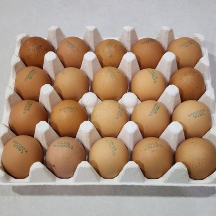 ไข่ไก่ออร์แกนิก ปลอดสารปฏิชีวนะ 40 ฟอง