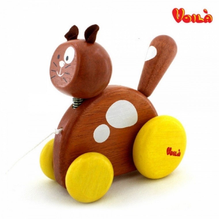 Voila ลูกแมว (S110Q)