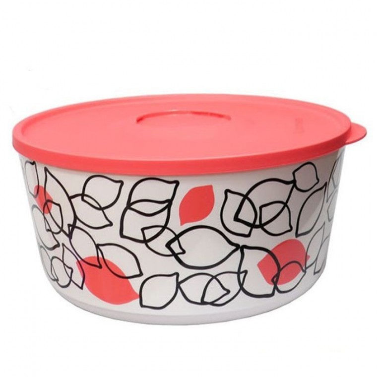 กล่องสุญญากาศ Tupperware กล่องกับข้าว กล่องเก็บอาหารในตู้เย็น 4.3 ลิตร