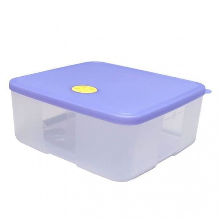 กล่องสุญญากาศ Tupperware กล่องกับข้าวสำหรับแช่แข็ง 2.8 ลิตร