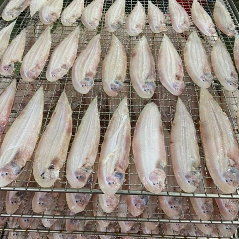 VDG ปลาพับ-แด ตากแห้งครึ่งหนึ่ง ขนาดเล็ก 26-28cm 25 ตัว