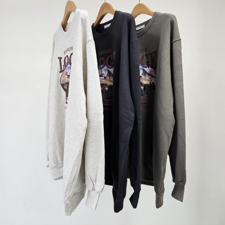 HL] เสื้อยืดแขนยาวพิมพ์ลายทรงโอเวอร์ไซส์สำหรับผู้หญิงไซส์ใหญ่